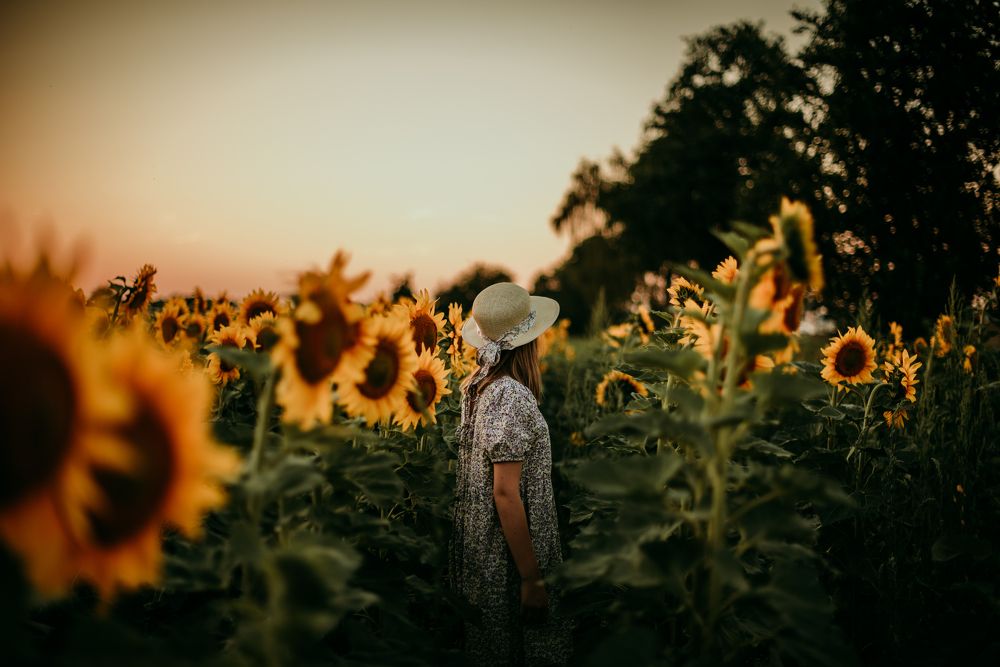 Photograph by Sandra Tines