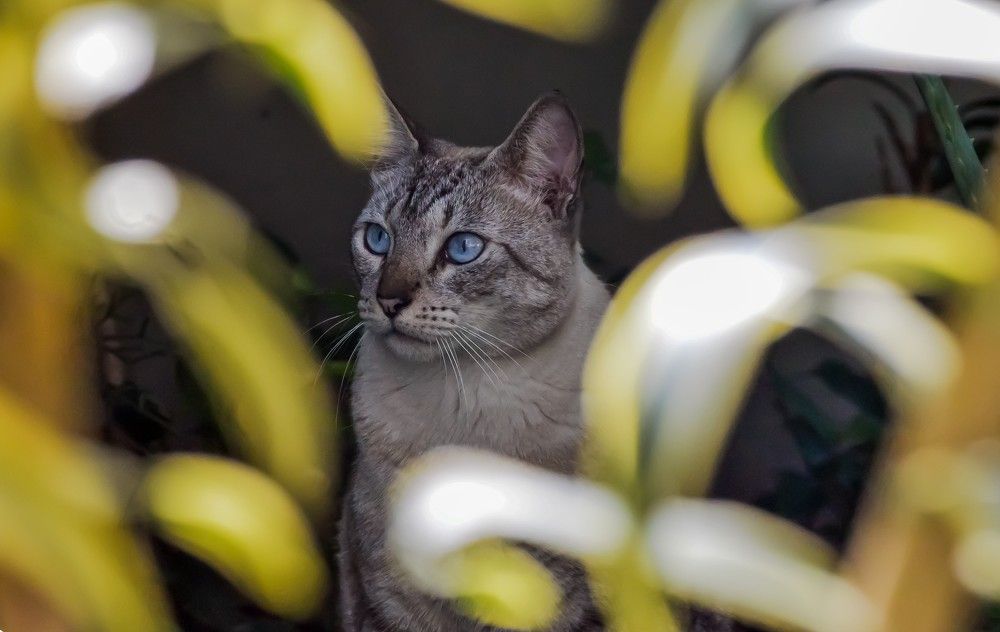 Photograph by Andre Nunes