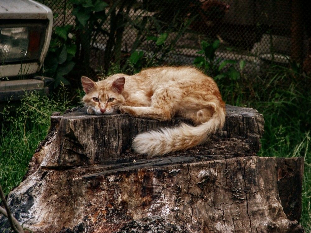 Photograph by Алексей Логинов