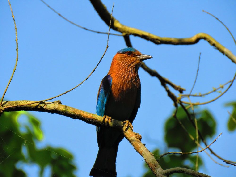 Photograph by ANISH BISWAS