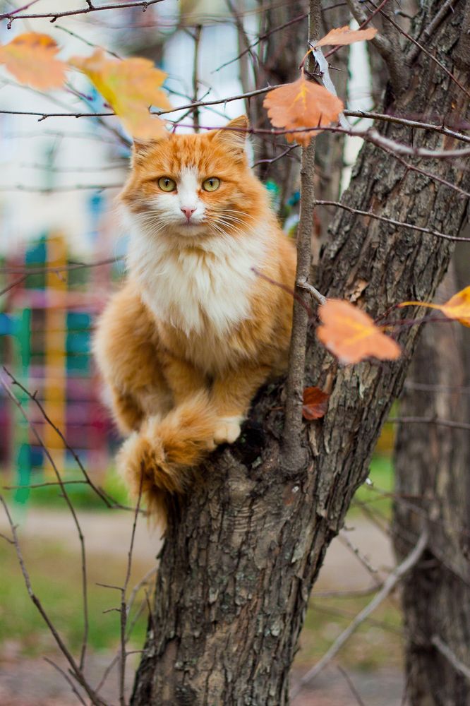 Photograph by Николаев Андрей