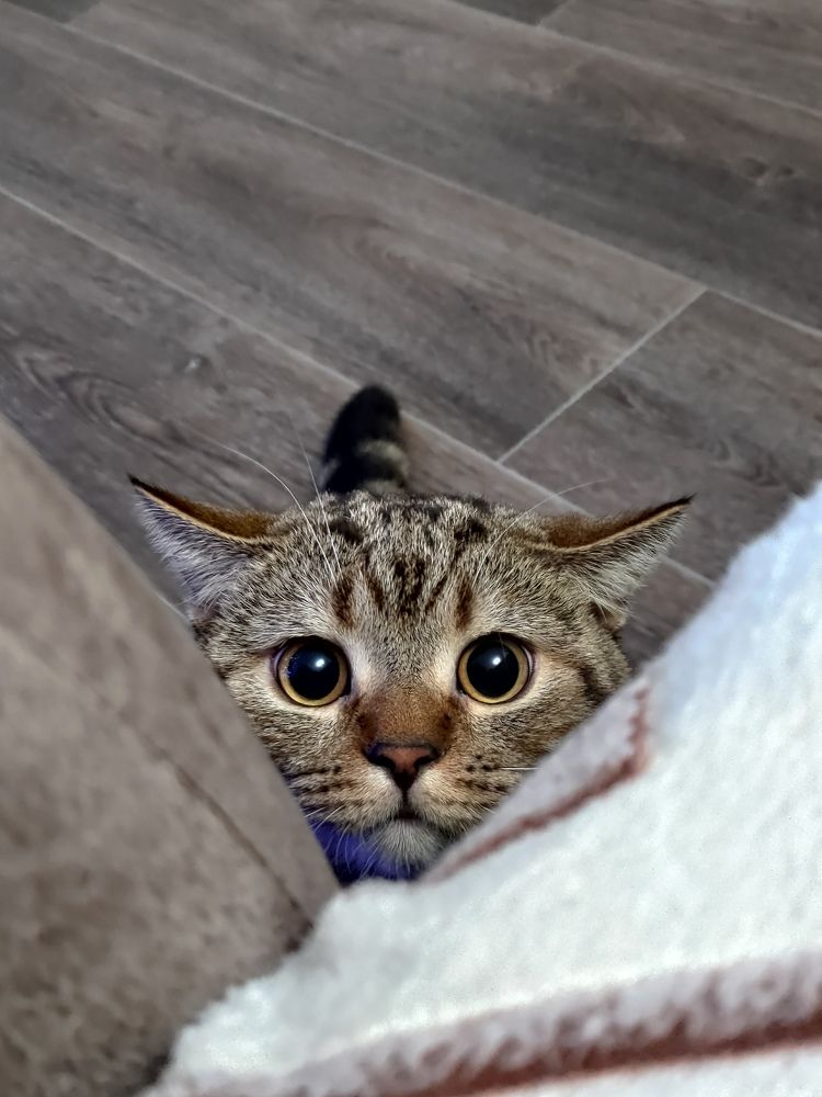 Photograph by Дарья Овсянникова