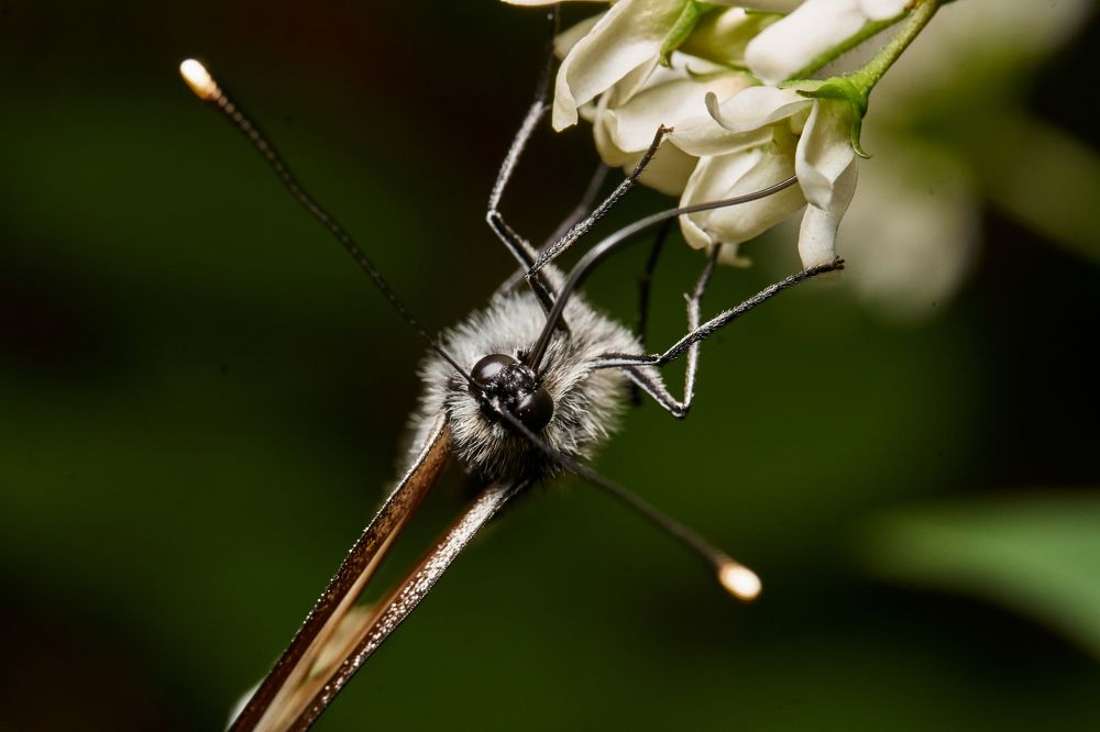 Фотография автора Игорь Игоревич