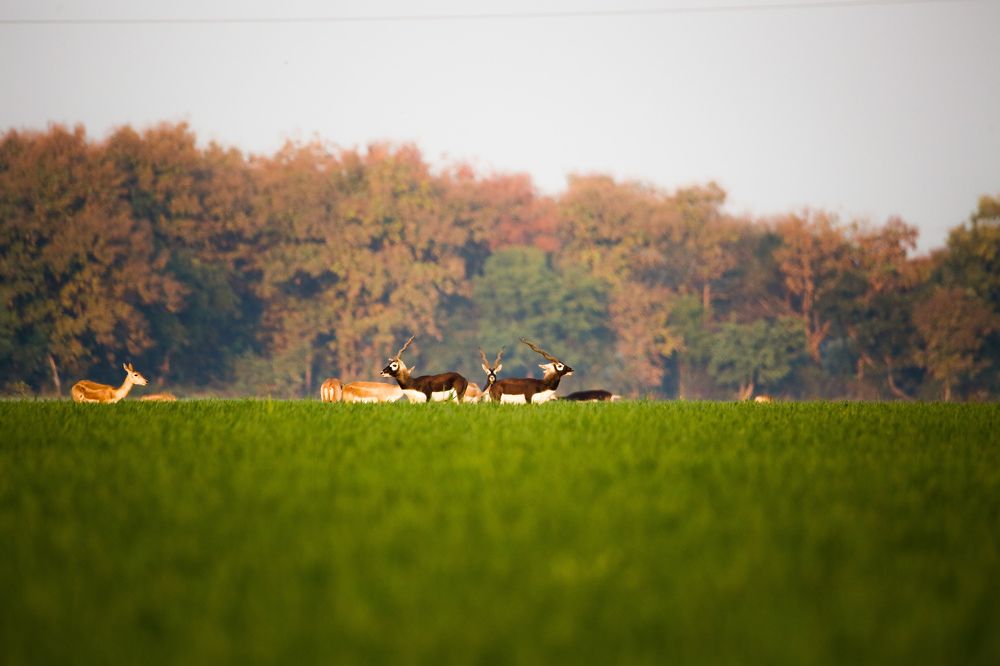 Photograph by Vinayak Sharma