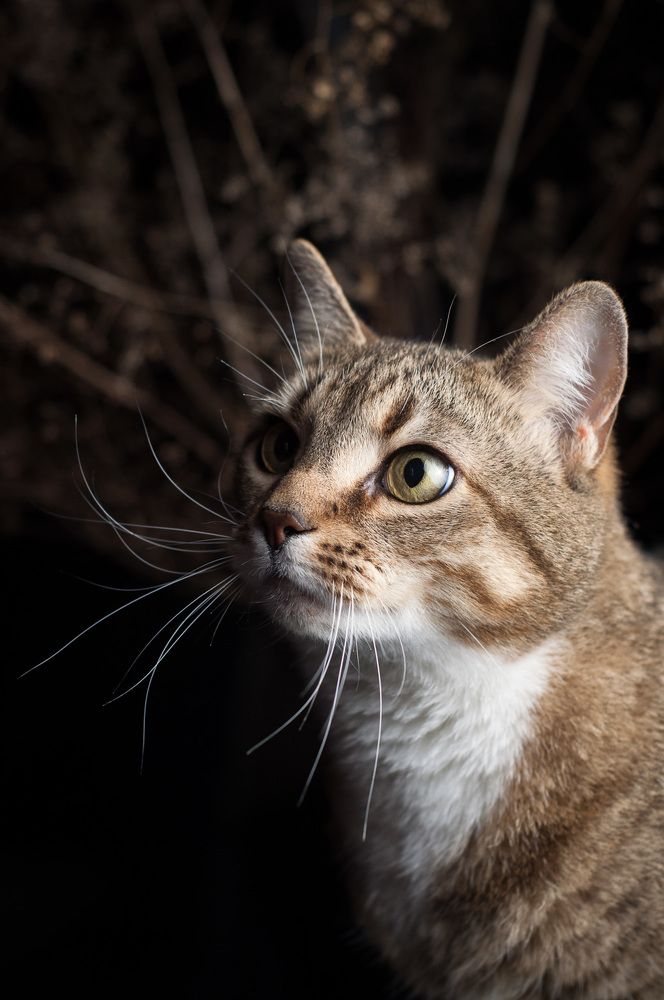 Photograph by Логинова Светлана