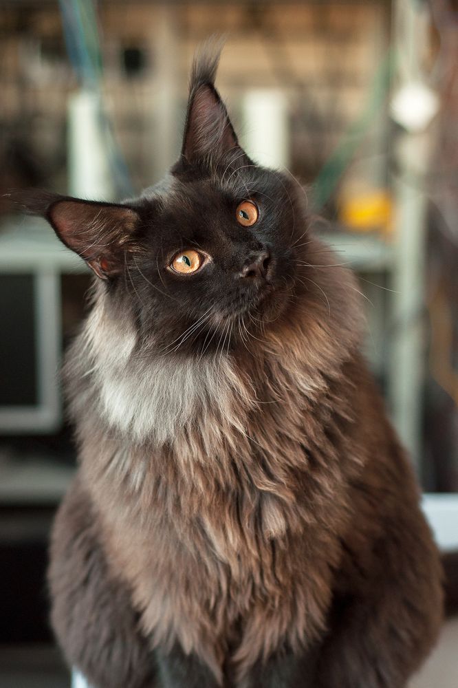 Photograph by Логинова Светлана