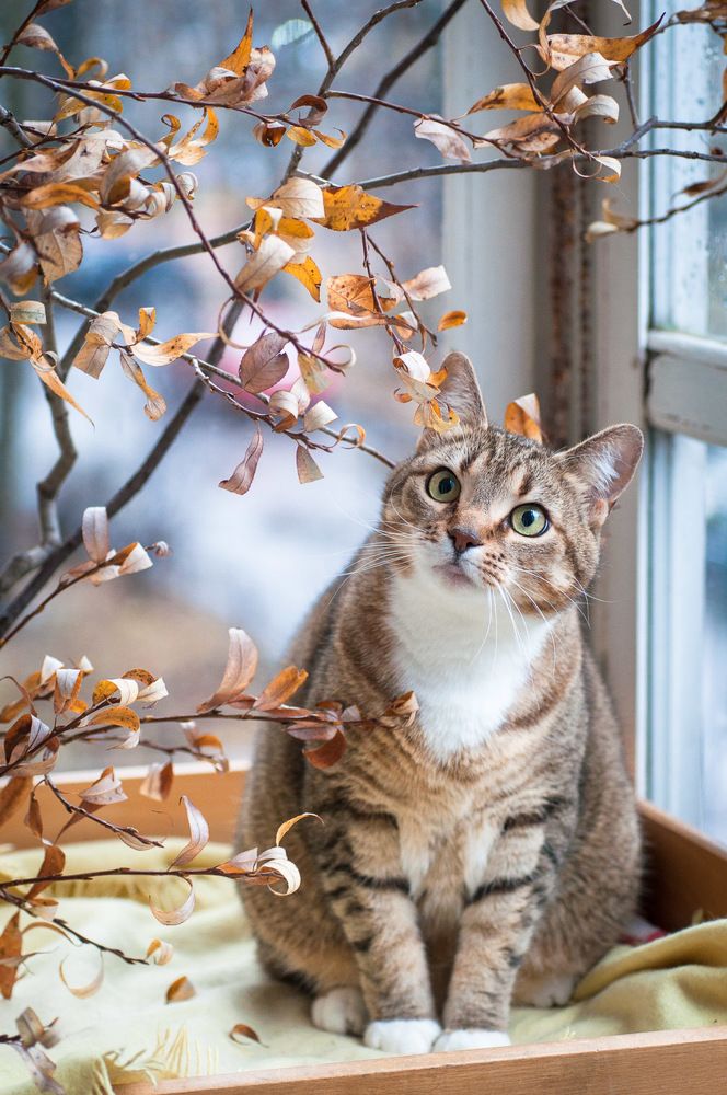 Photograph by Логинова Светлана