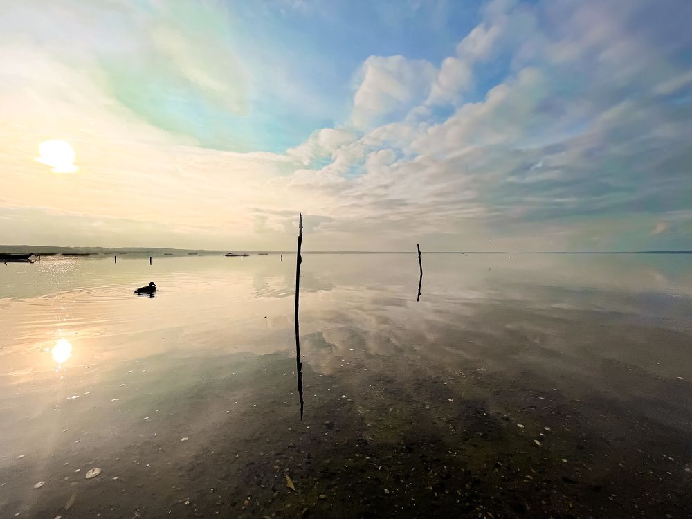 Photograph by Волкова Полина
