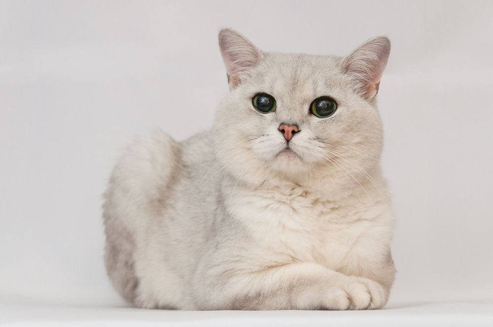 Photograph by Логинова Светлана