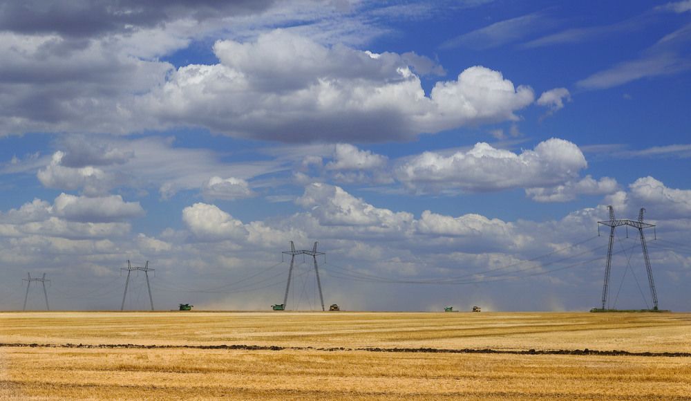 Фотография автора Галина