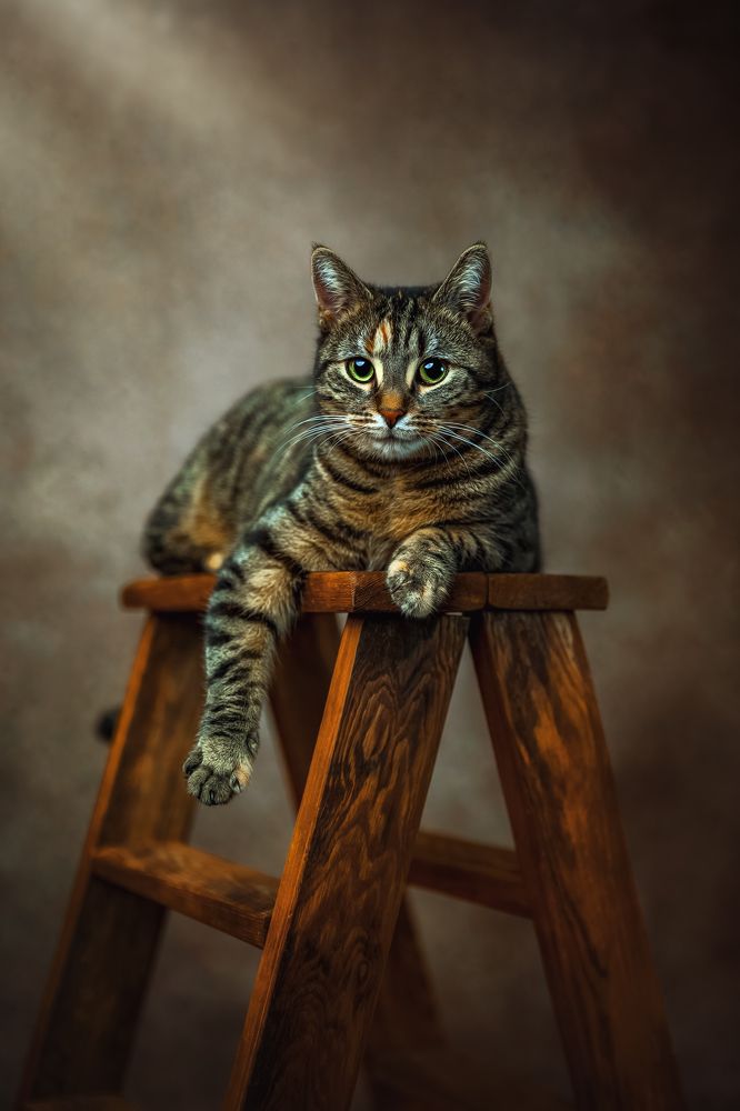 Photograph by Kasia Kapała