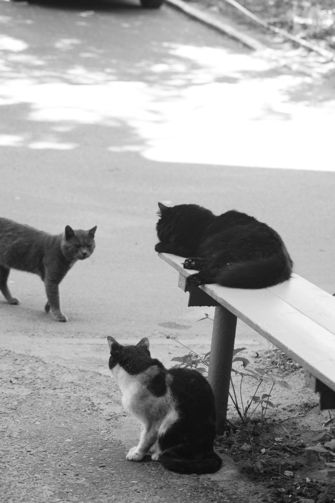 Photograph by Ольга Истомина