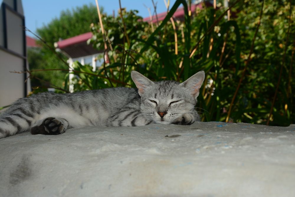 Photograph by Ольга Истомина