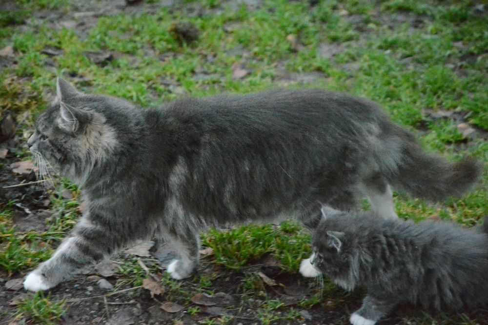 Photograph by Ольга Истомина