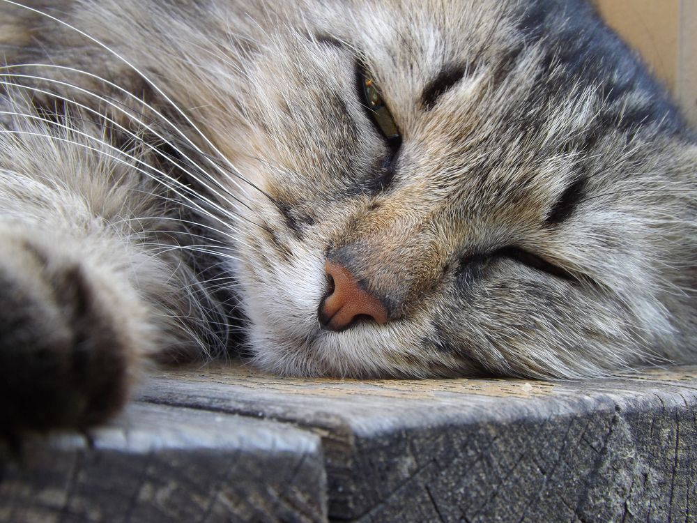 Фотография автора Валерий Елистратов