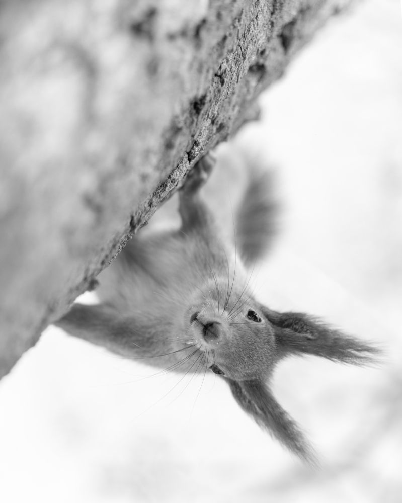 Фотография автора Сергей Затямин