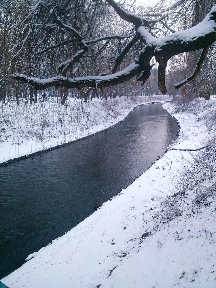 Photograph by Dariusz Gruszka