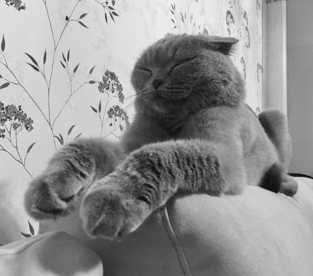 Photograph by Юлия Калинина