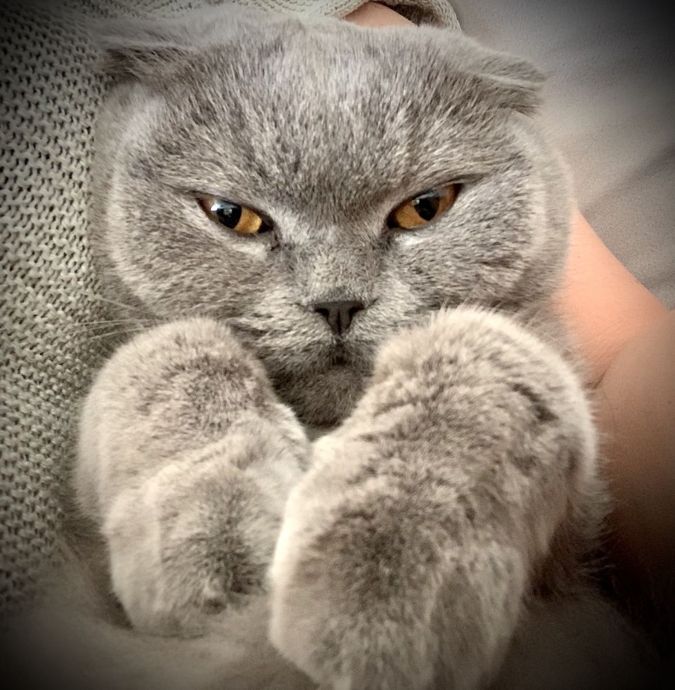 Photograph by Юлия Калинина