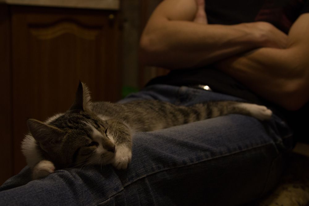 Я тебе доверяю