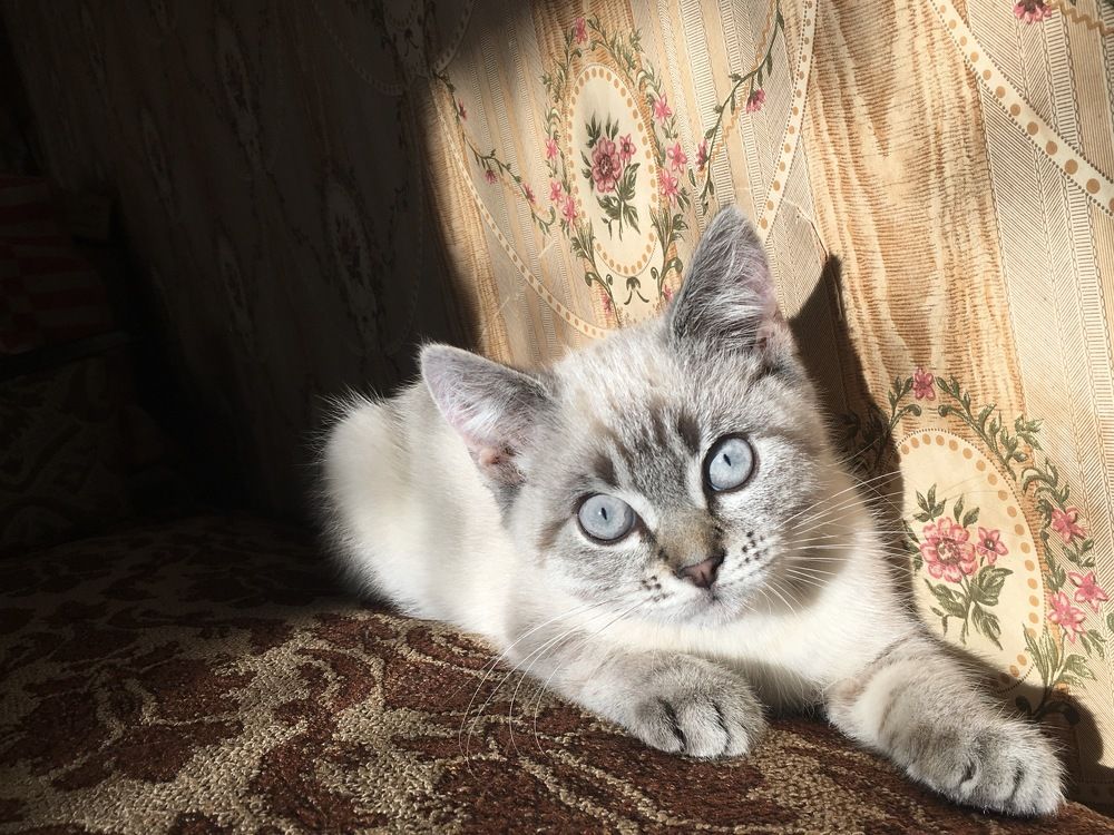 Photograph by Людмила Коныгина