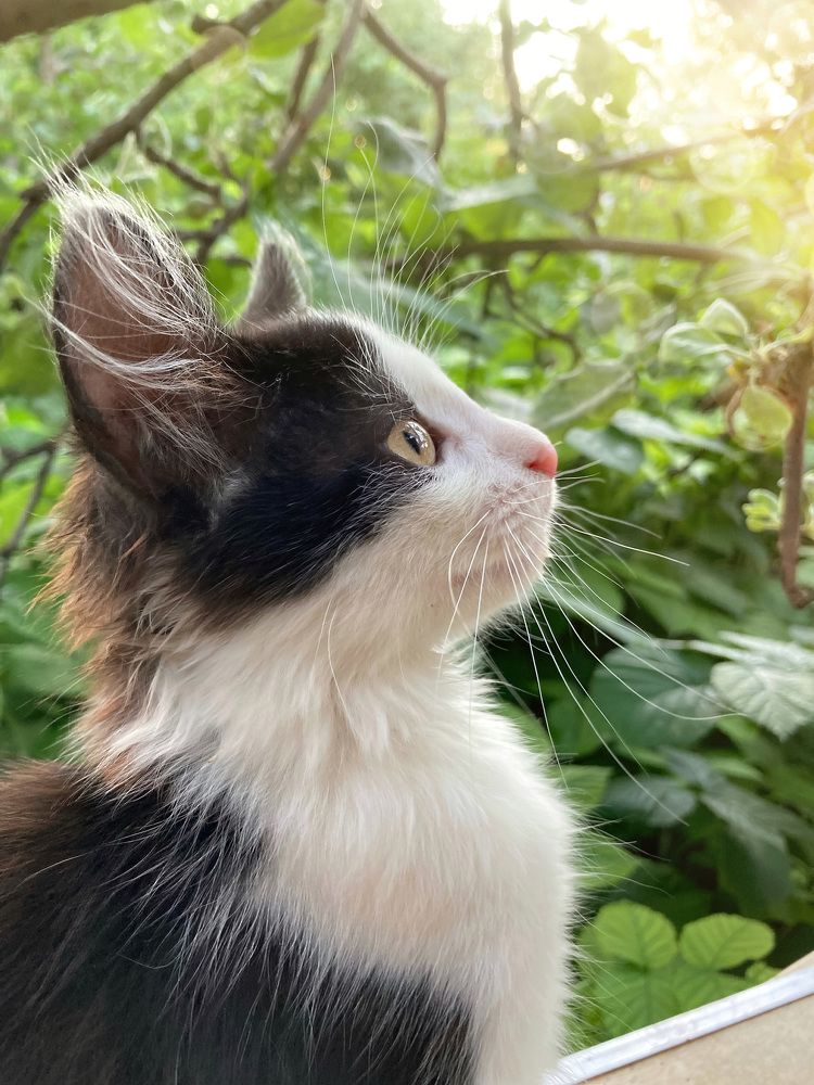 Photograph by Людмила Коныгина