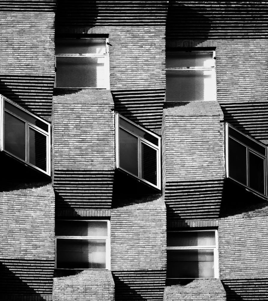 Фотография автора Mohammad Mohseni