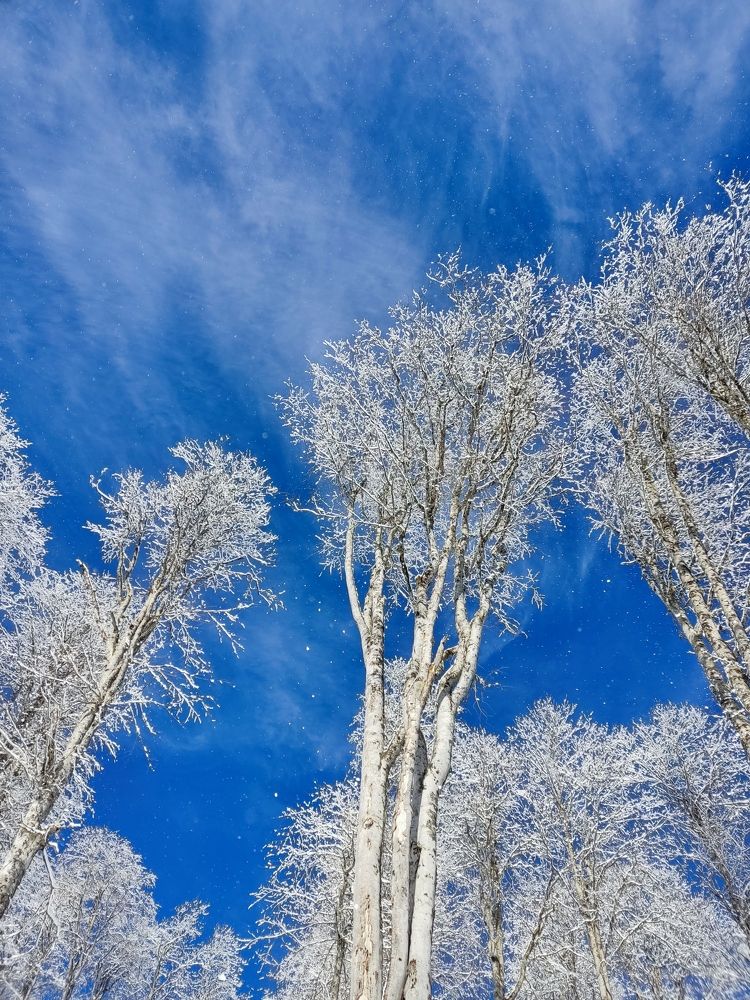 Photograph by Вадим Пикалов