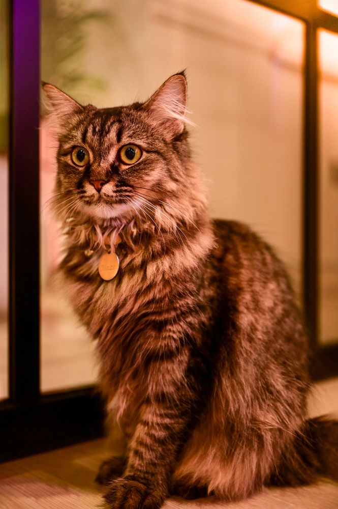 Photograph by ANAND GK