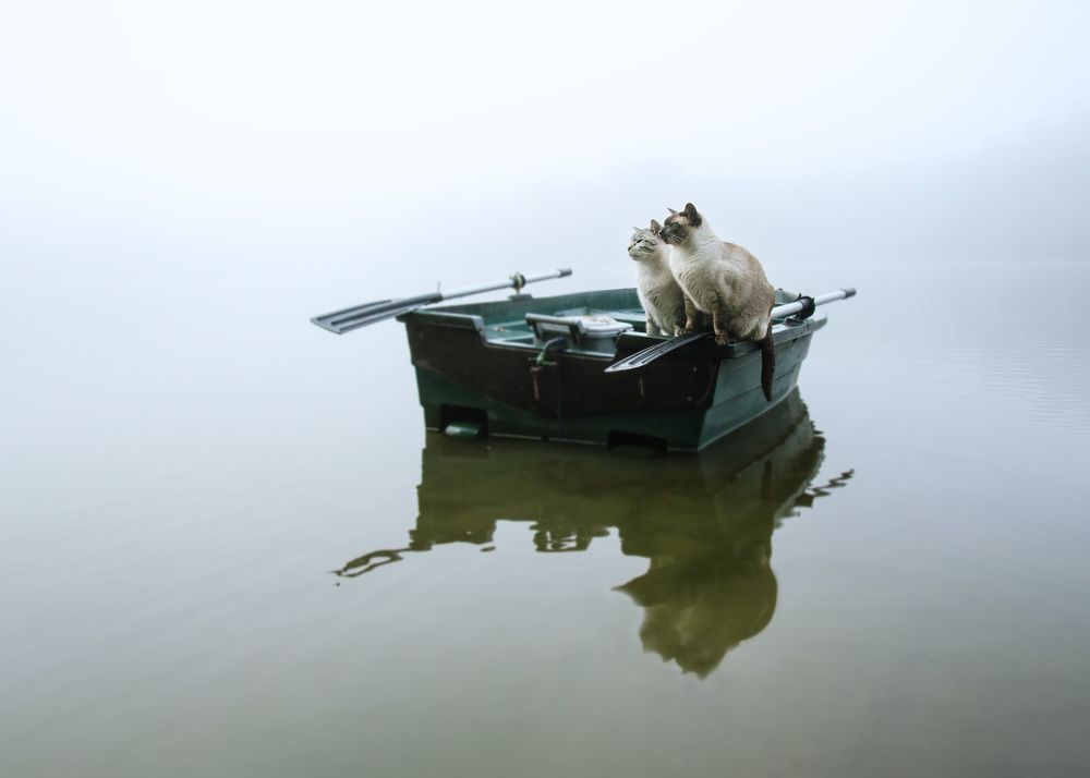 Photograph by LYUDMYLA POKRYSHEN