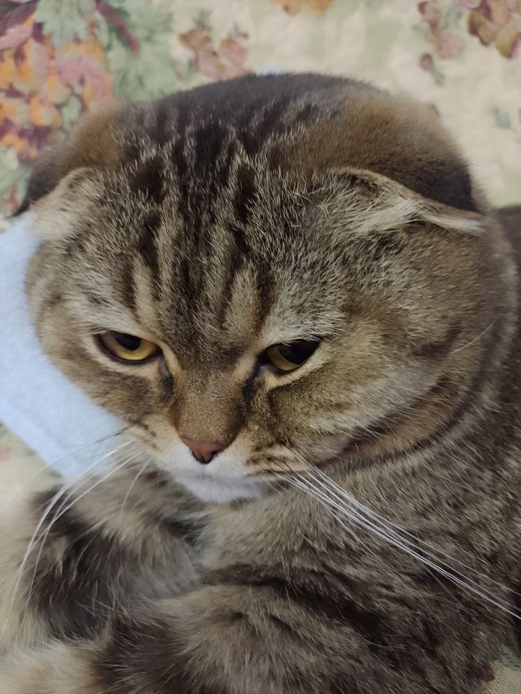 Photo #8659493