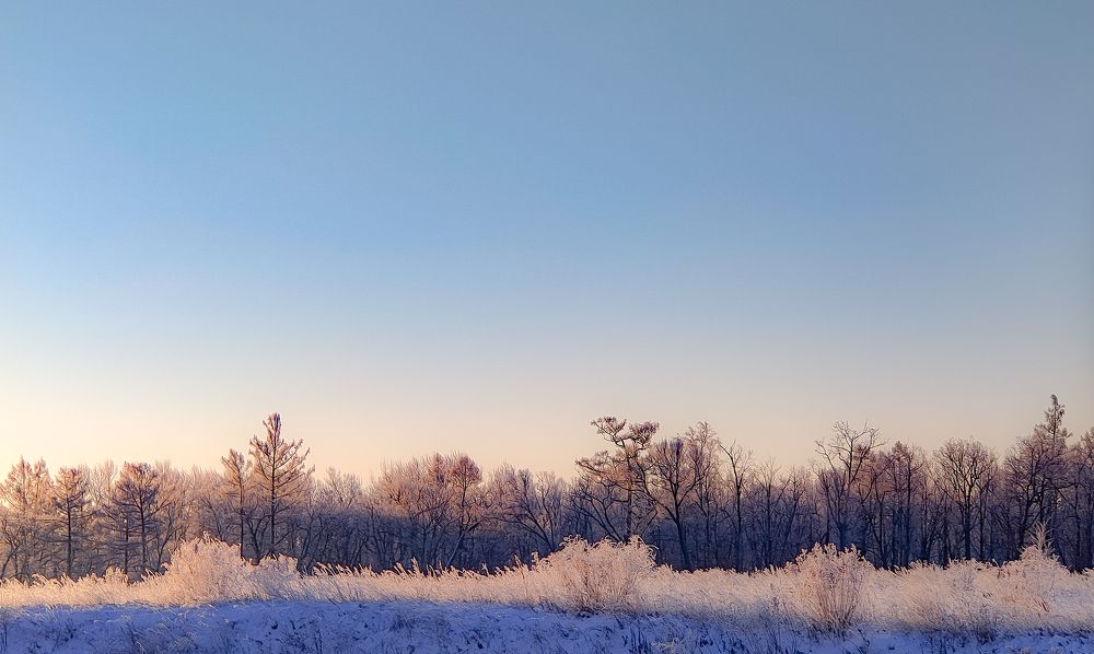 Photograph by Александр Коваль