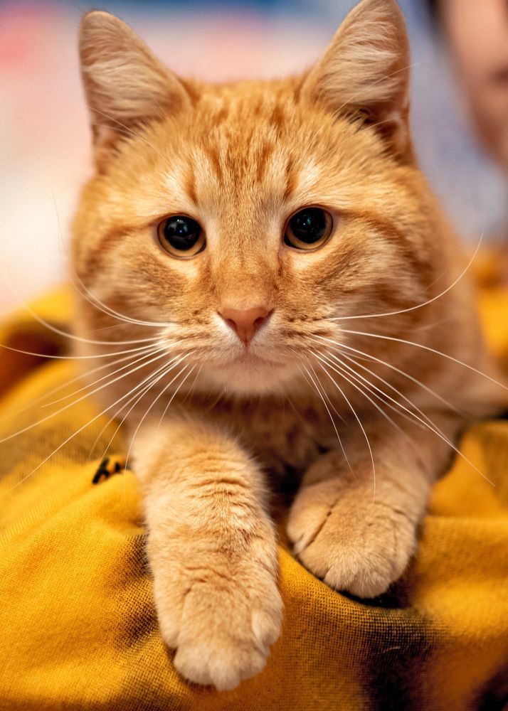 Фотография автора Mila Prophoto