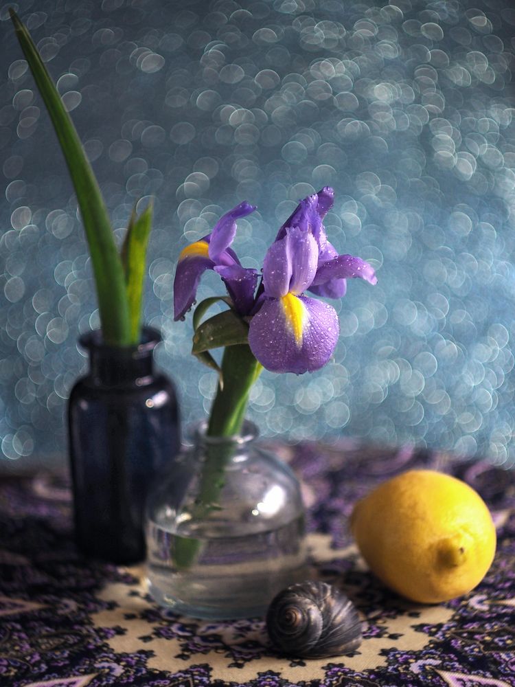 Photograph by Ionika Mink