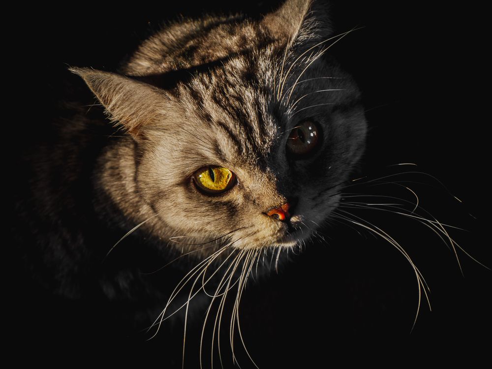 Photograph by Дмитрий Головко