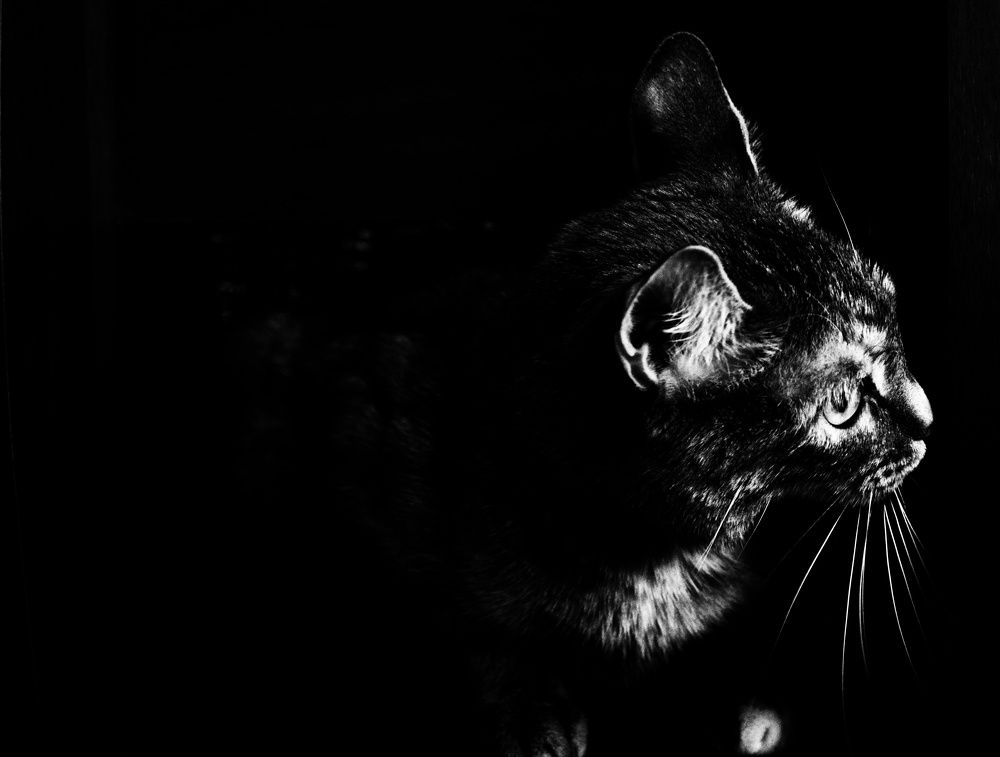 Photograph by Кристина Родина