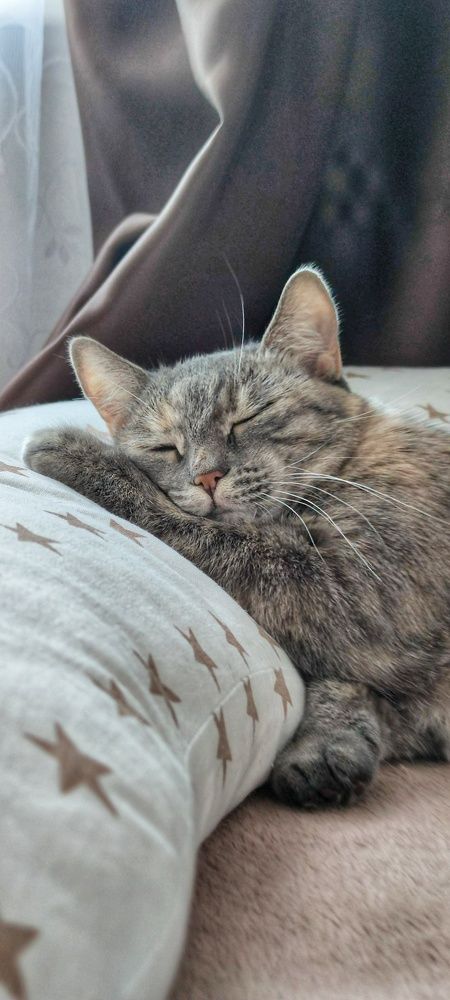 Photograph by Кристина Родина