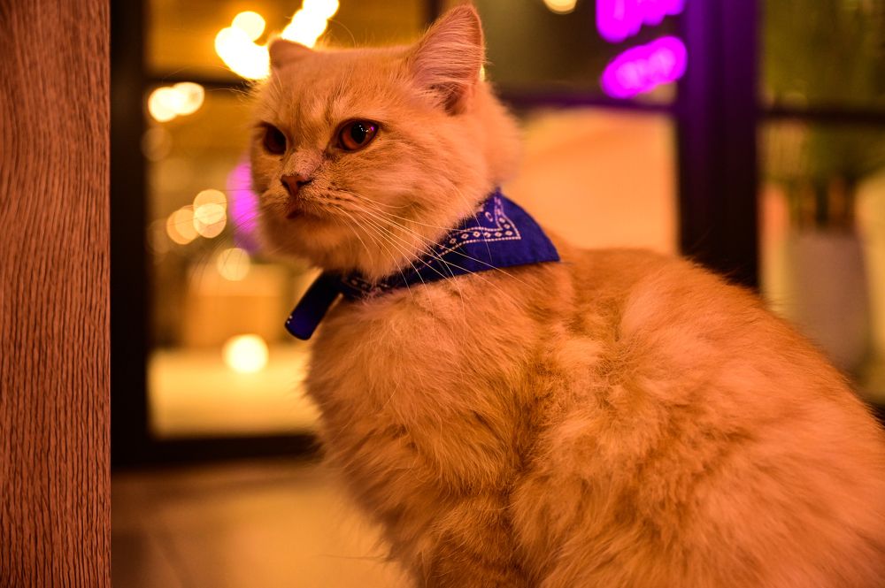 Photograph by ANAND GK