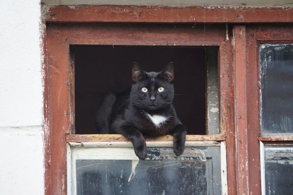 Photograph by Алфия Бугакова