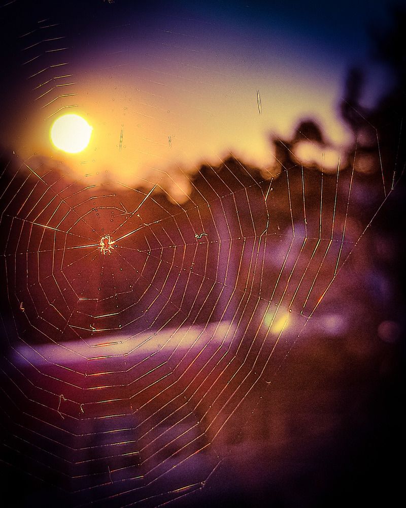 Photograph by Николай Яковлев