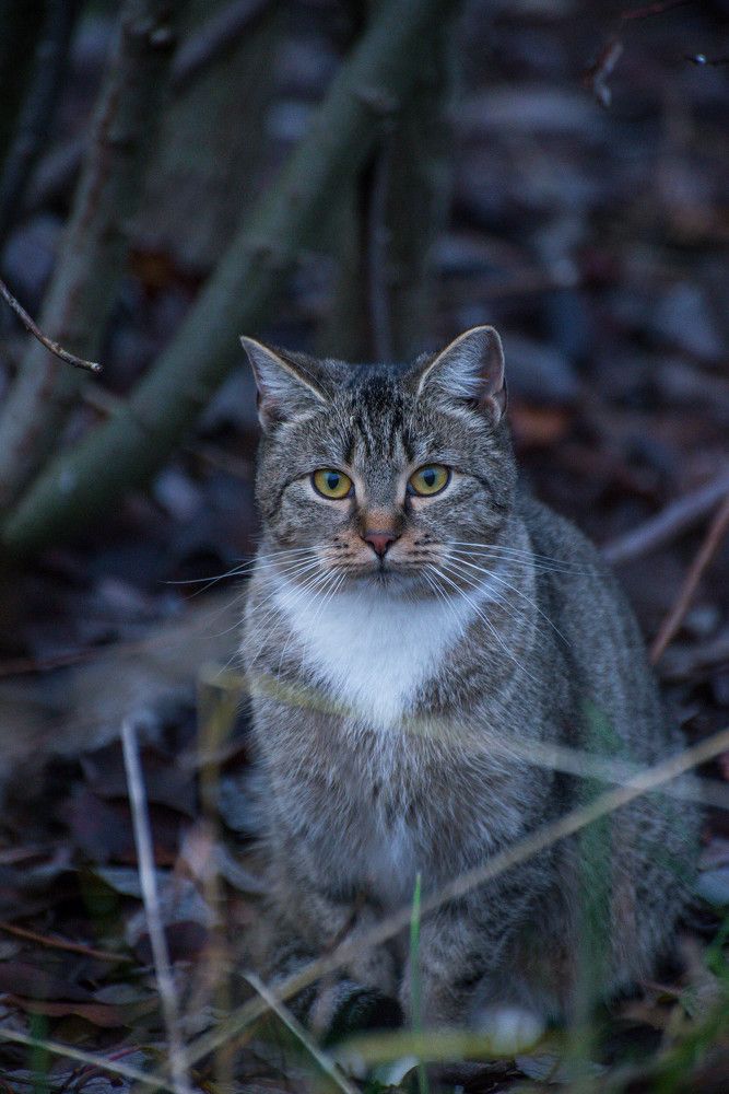 Photograph by Ирина