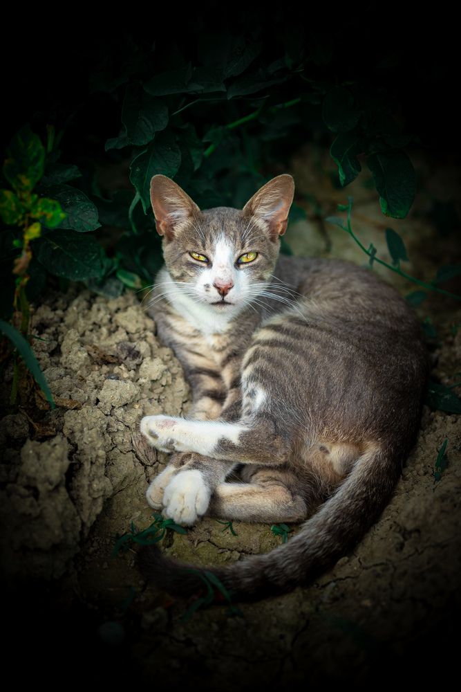 Photograph by Omer Gojak