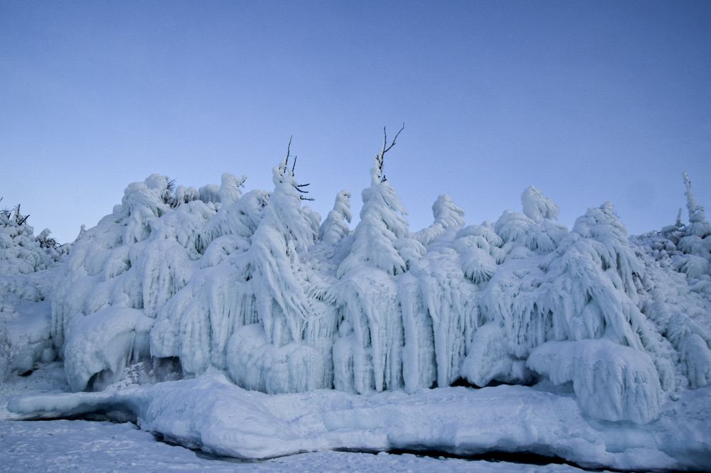 Волшебный лес. Остров Огой.