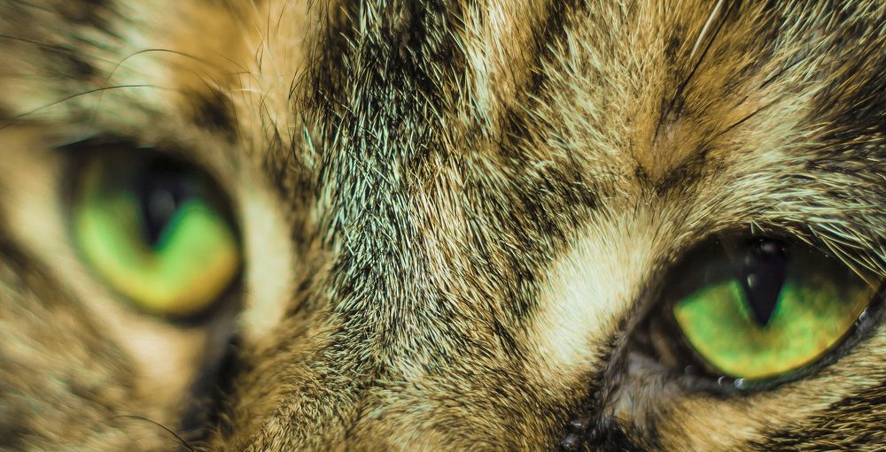 Photograph by ANDREi S.