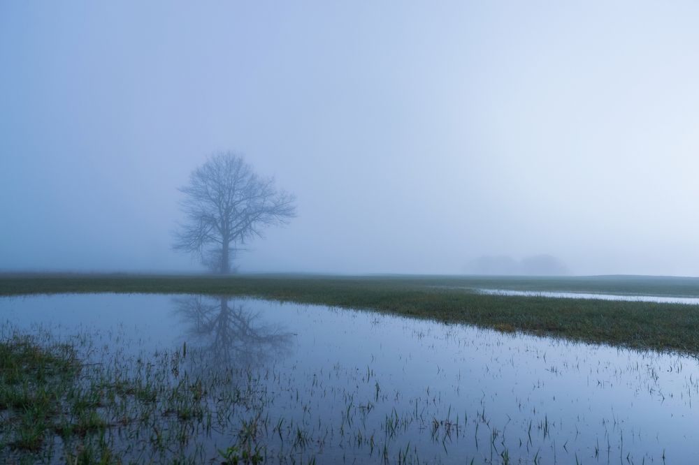 Photograph by Fahrudin Seferagić