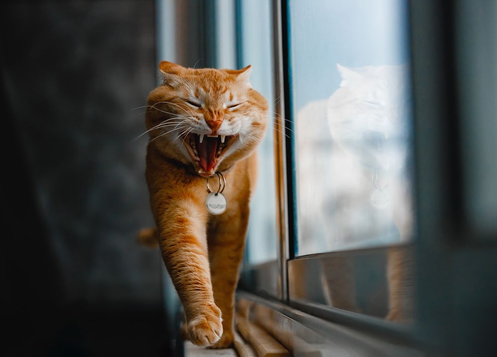 Photograph by Ольга Мазлова