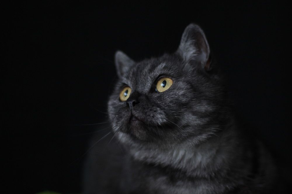 Photograph by Наталия Тарасова