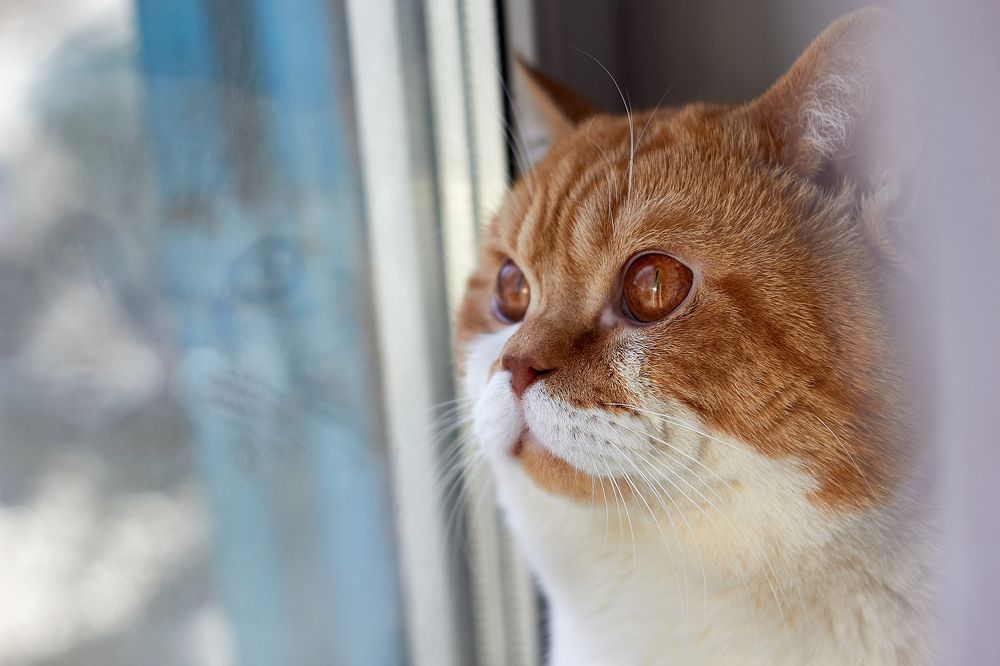 Photograph by Маргарита Гурова