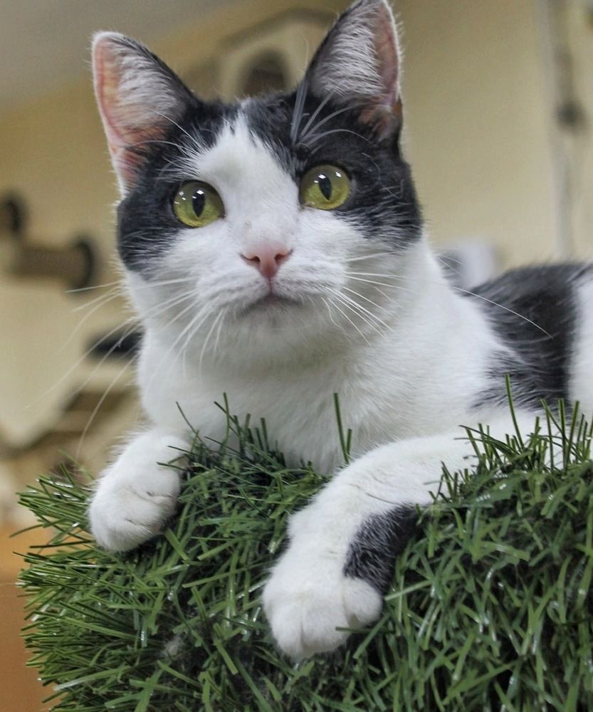 Photograph by Алсу Хусаинова