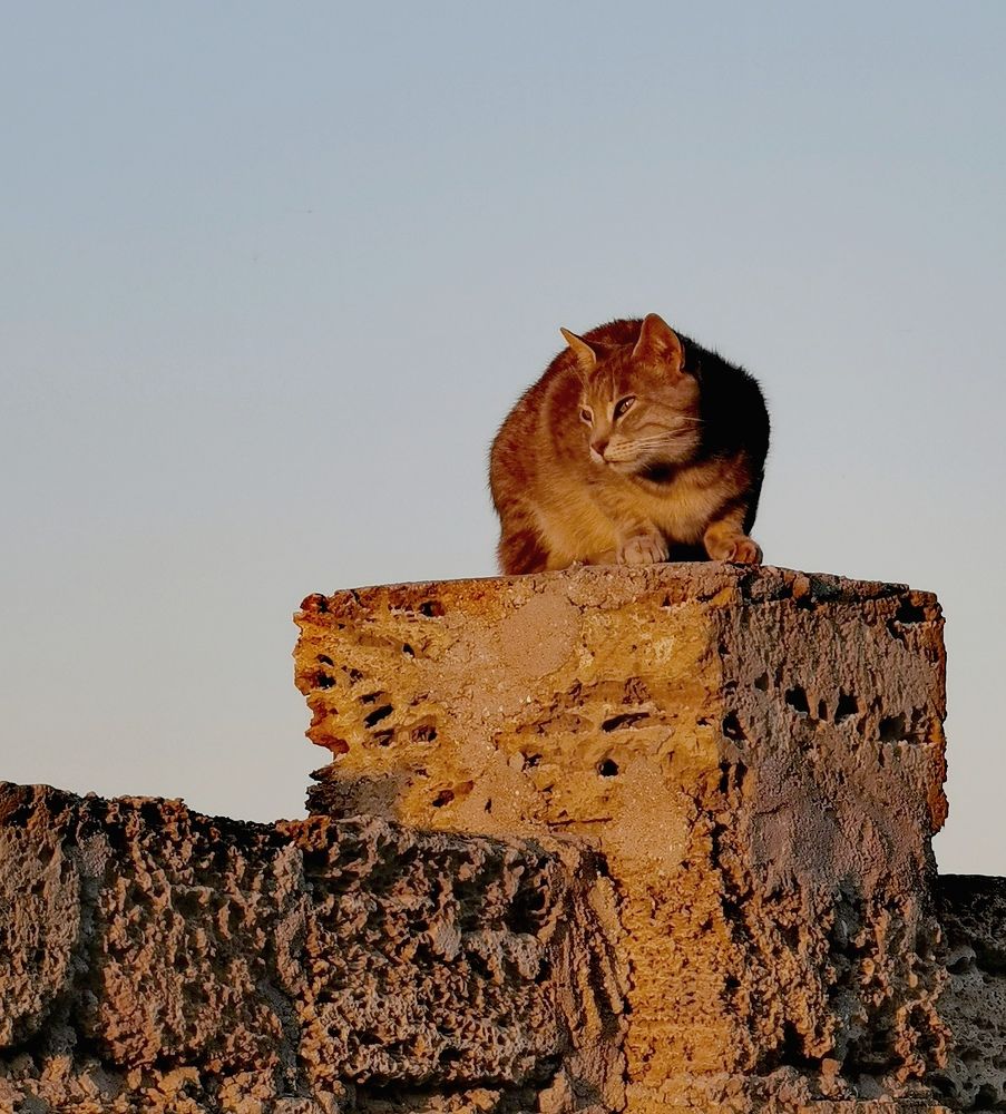 Фотография автора Rafa